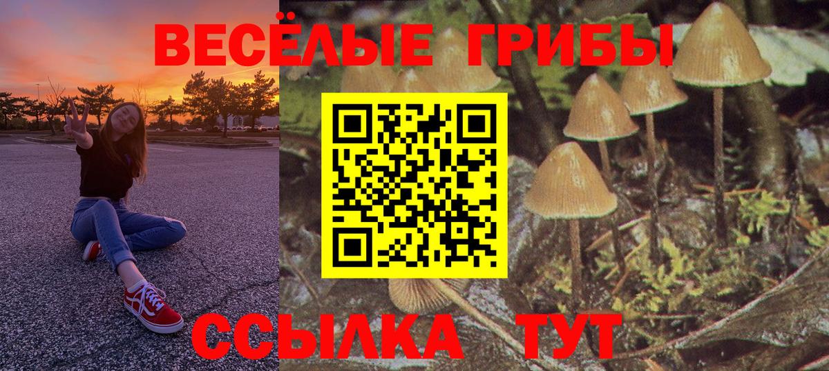Псилоцибиновые грибы MAGIC MUSHROOMS  Псилоцибиновые грибы Magic Shrooms  купить закладку  Вход с VPN  Ярославль 
