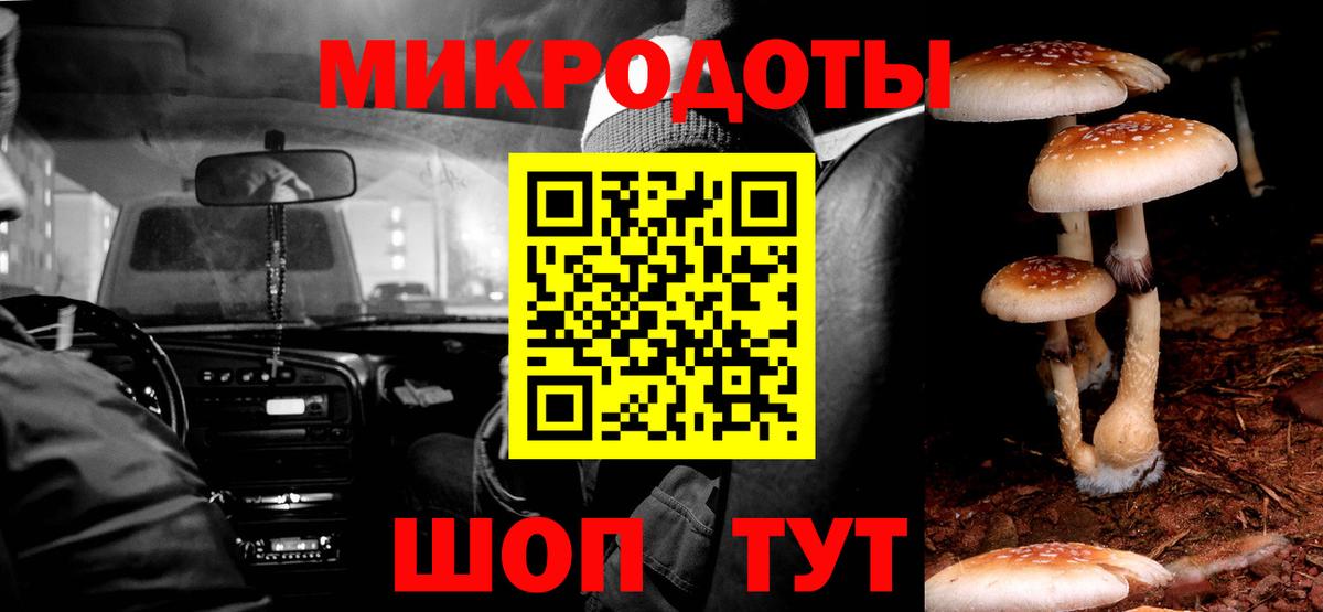Псилоцибиновые грибы мухоморы Ярославль